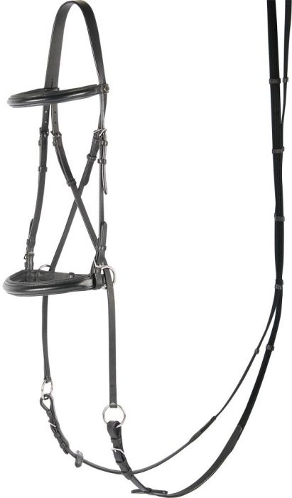 Harry's Horse Bitless Bridle